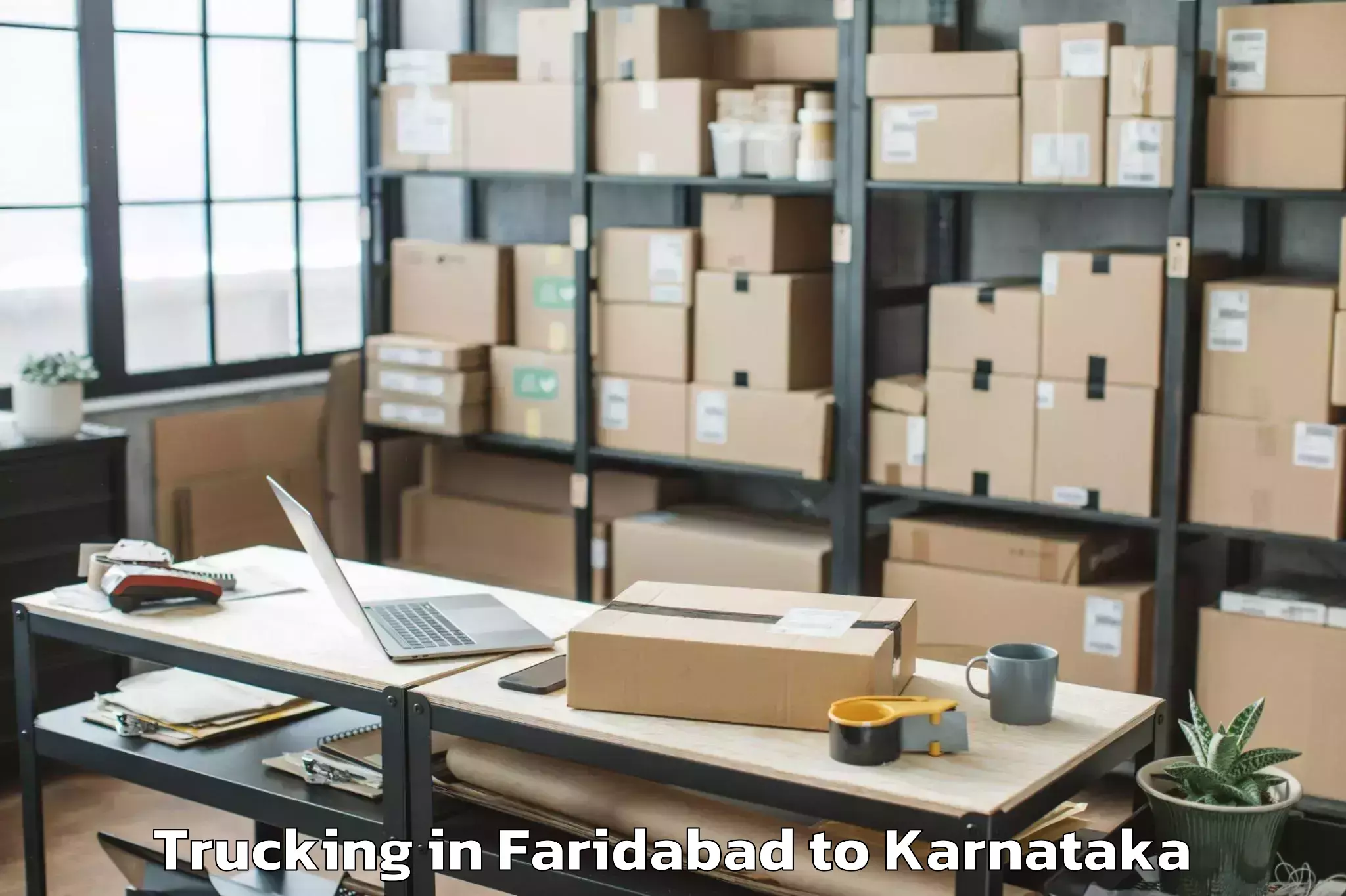 Book Faridabad to Kudligi Trucking Online